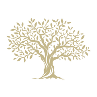 Mindful Solutions, LLC
