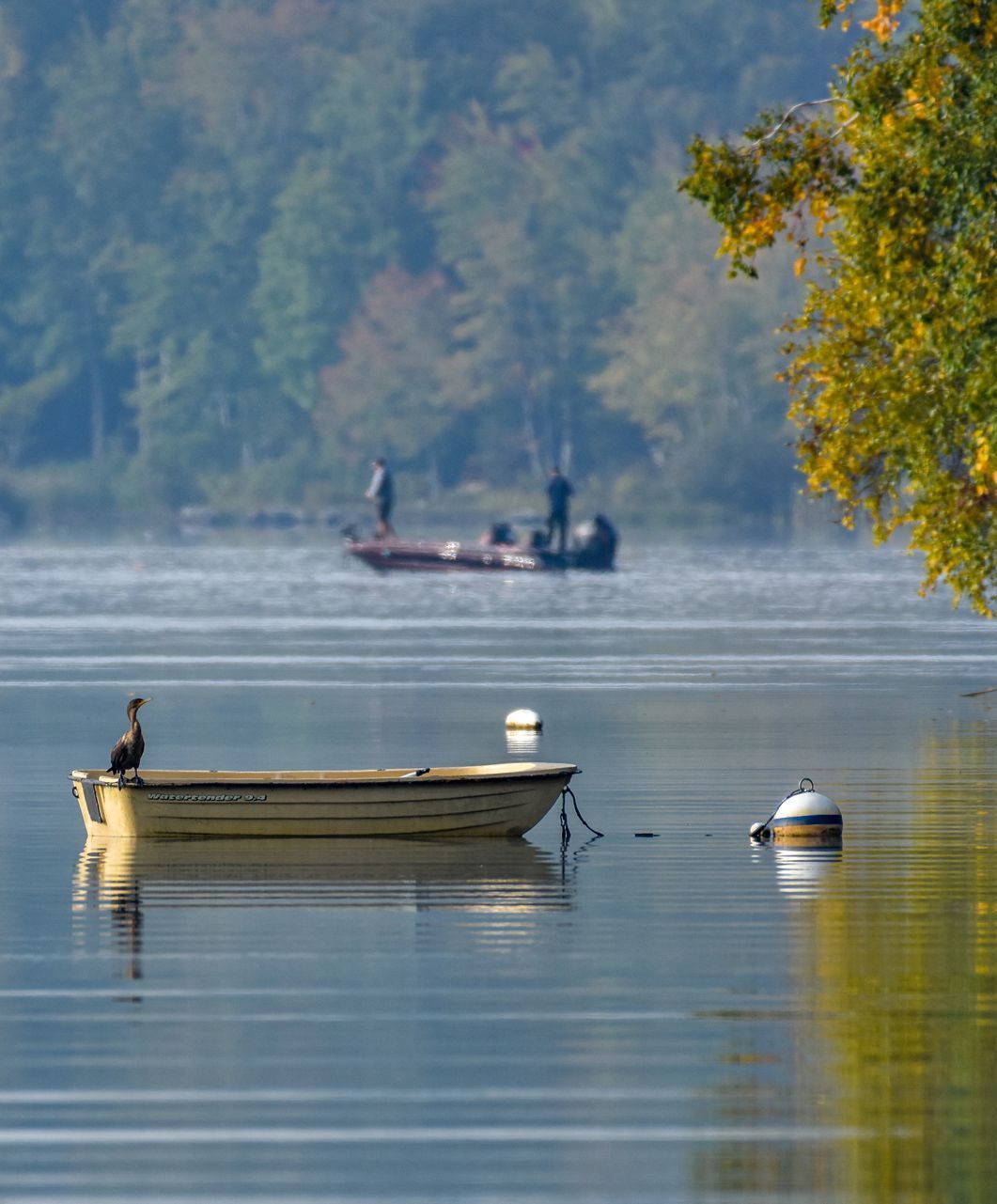 a bird sits on the side of a boat resting in a lake