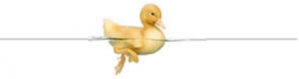 Merrell Plumbing Yellow duckling swimming in water.