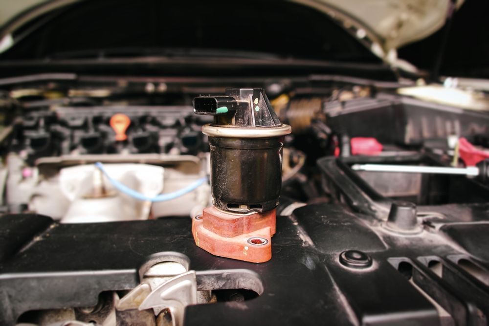Car Engine Bay With a Small Cylindrical Component — Hive Mobile Roadworthy in Tweed Heads, NSW