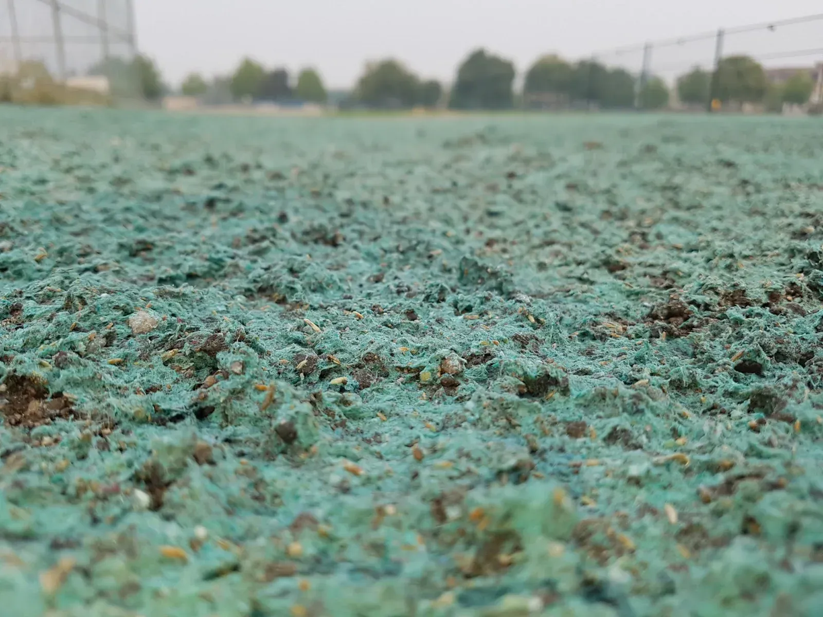 hydroseeding