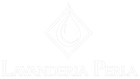 Logo bianco sbiadito con un'icona a forma di diamante sopra la scritta