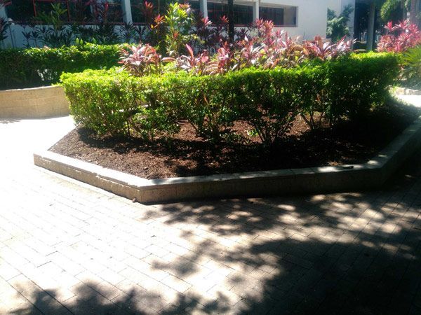 A brick walkway surrounded by bushes and flowers in a park