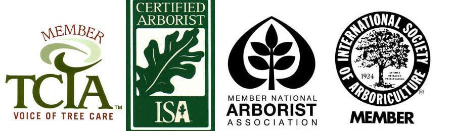 Members Members