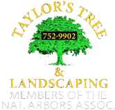 Taylor’s Tree & Landscaping, Inc. Logo Taylor’s Tree & Landscaping, Inc. Logo