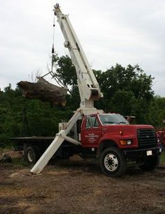 Tree Removal Service Tree Removal Service