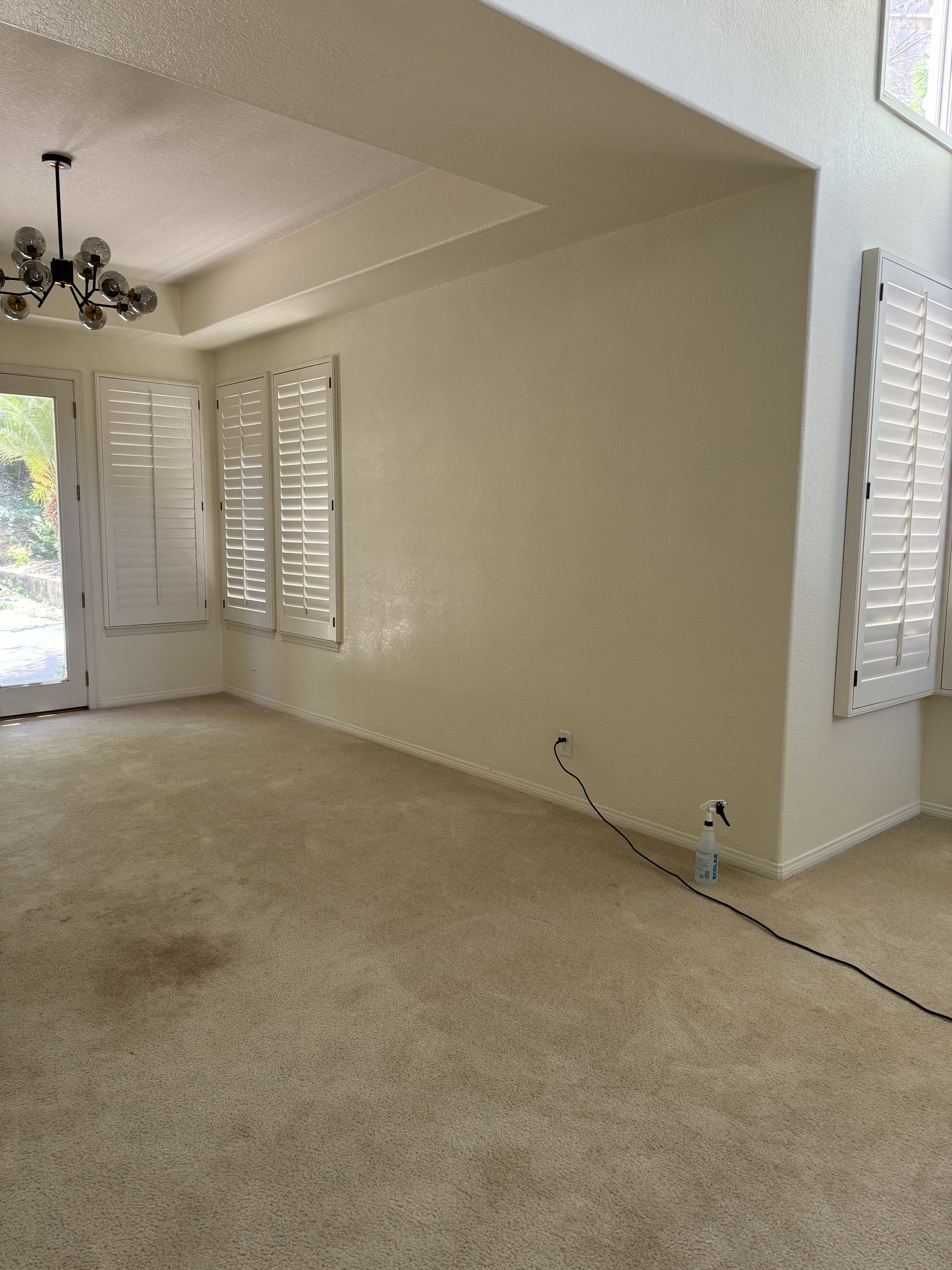 Empty beige living room with carpet, windows, a ceiling light, and a front door.