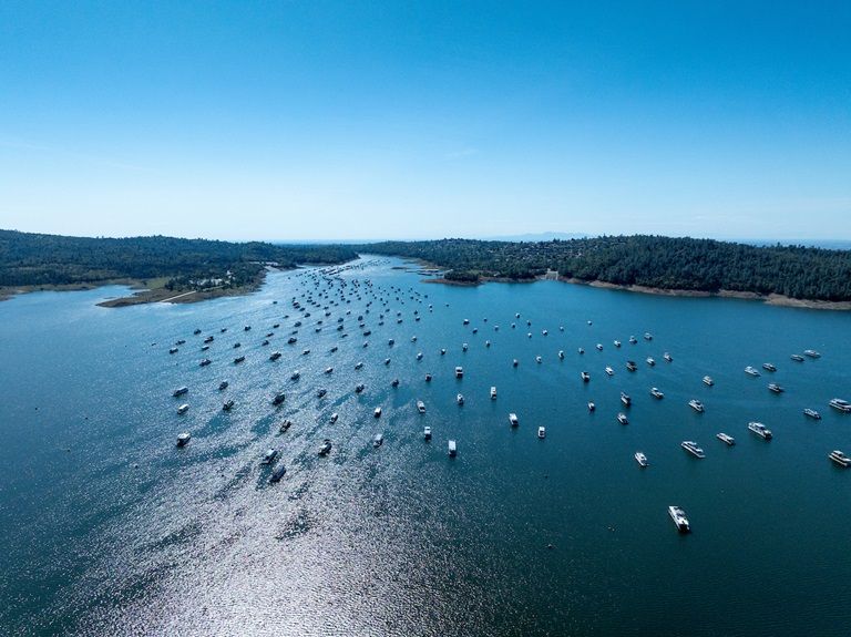 Aerial view of dozens of boats on a calm blue bay between wooded shorelines