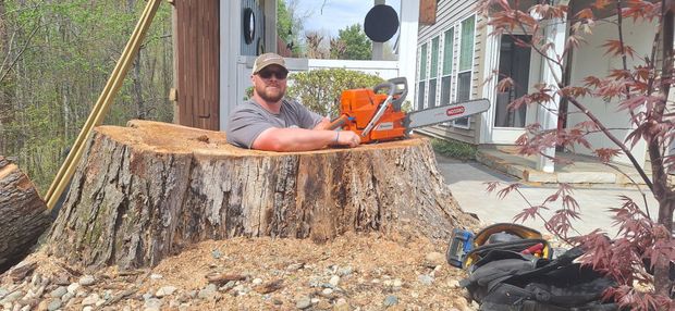 Worker using a chainsaw to cut a large tree stump in a yard