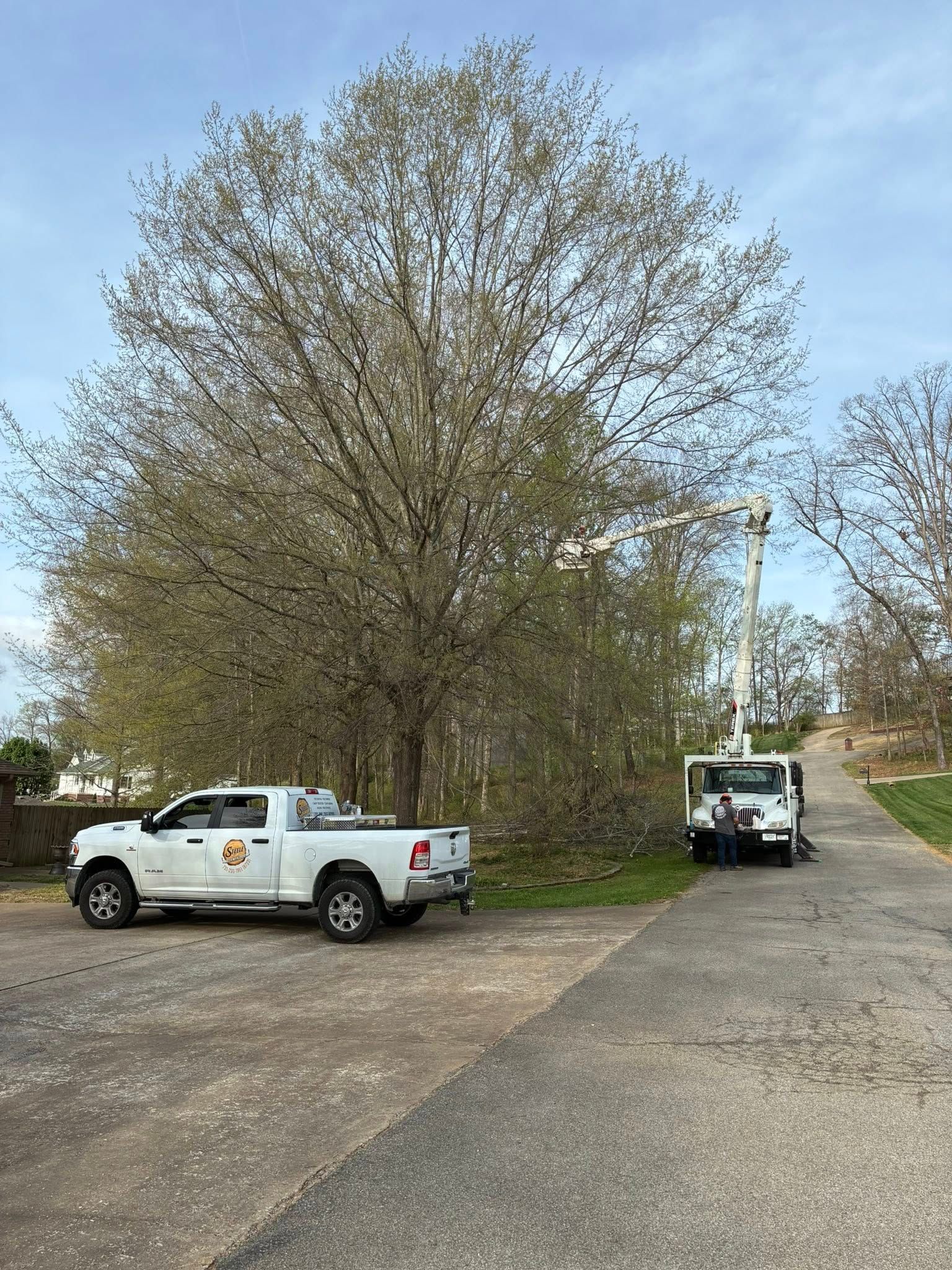 White pickup truck and small trailer parked on a gravel road beside a large tree under a clear sky. White pickup truck and small trailer parked on a gravel road beside a large tree under a clear sky.