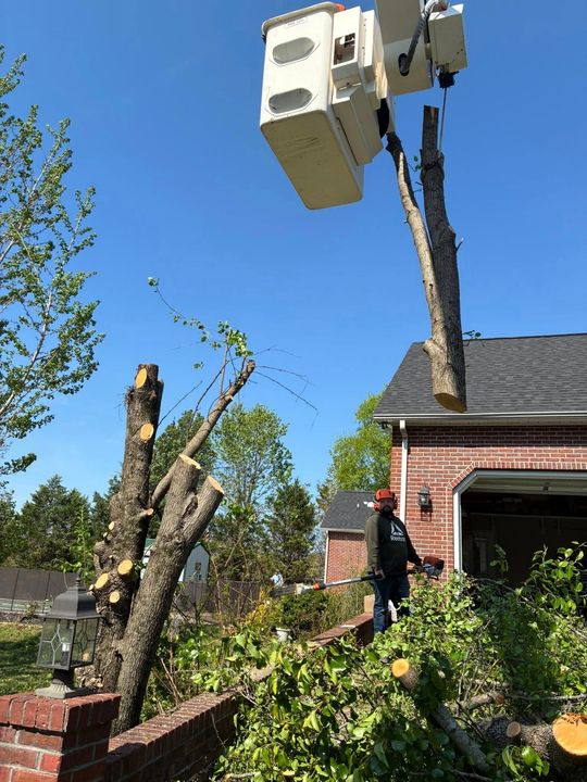 Tree-trimming bucket truck lifting cut branches beside a brick house under a clear blue sky