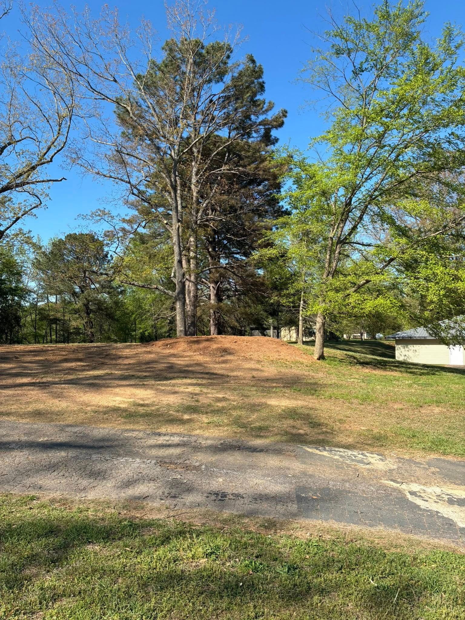 Gravel driveway beside a grassy yard with tall trees under a clear blue sky. Gravel driveway beside a grassy yard with tall trees under a clear blue sky.