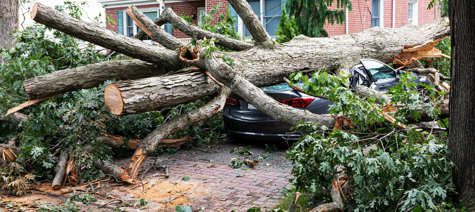 Large tree trunk fallen across a driveway, crushing a black car amid storm debris and branches Large tree trunk fallen across a driveway, crushing a black car amid storm debris and branches
