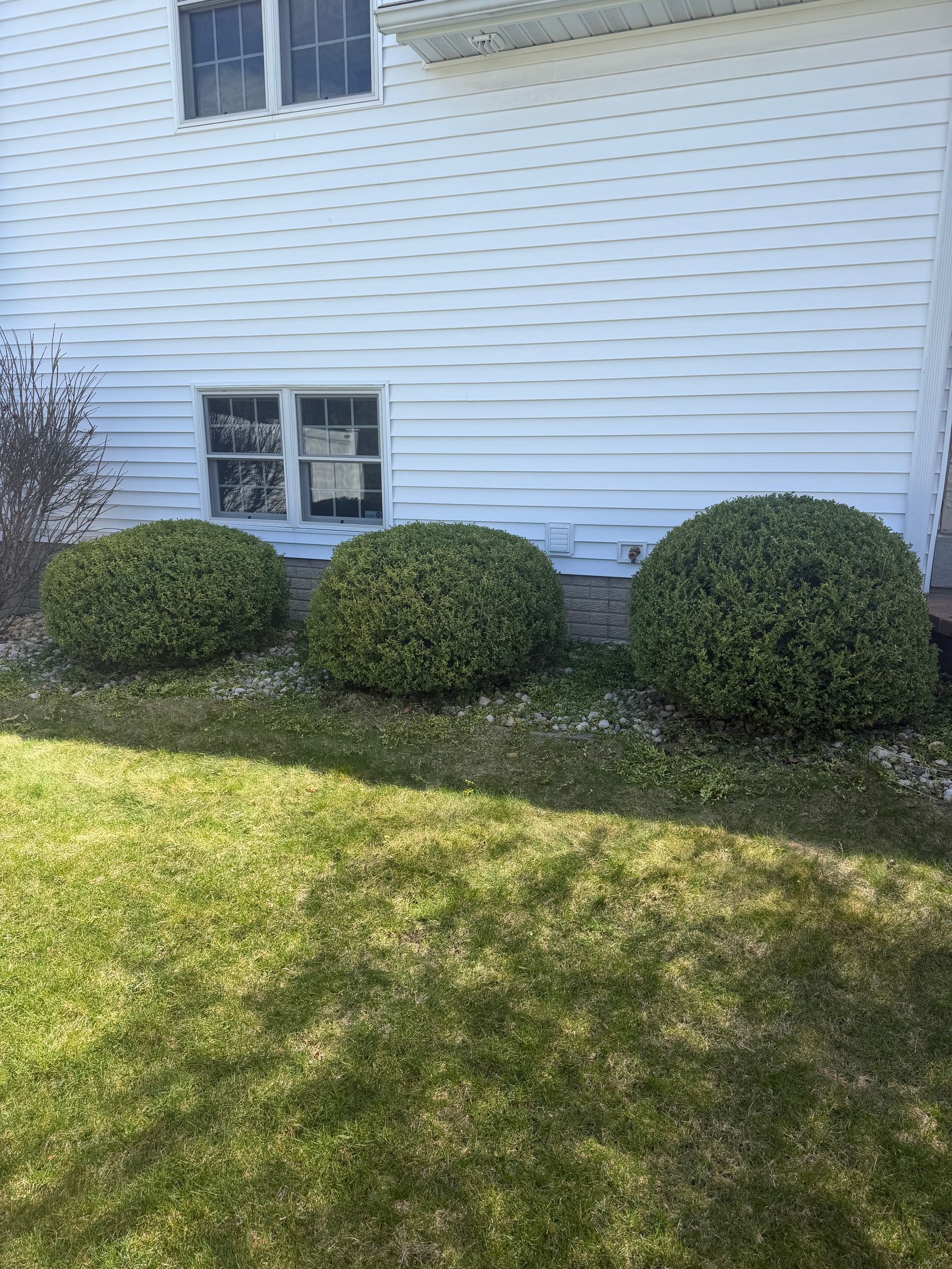 Professional lawn mowing service in the Quad Cities area, covering Moline, Davenport, Bettendorf, and Rock Island