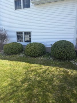 Professional lawn mowing service in the Quad Cities area, covering Moline, Davenport, Bettendorf, and Rock Island