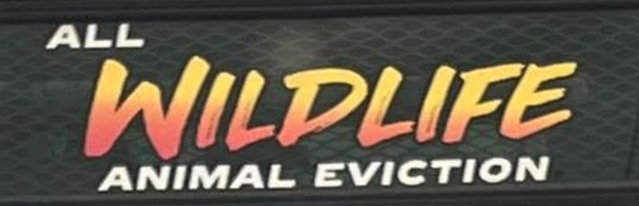 All Wild Life Animal Eviction All Wild Life Animal Eviction