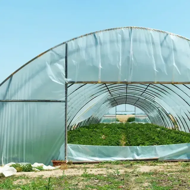 horticultural