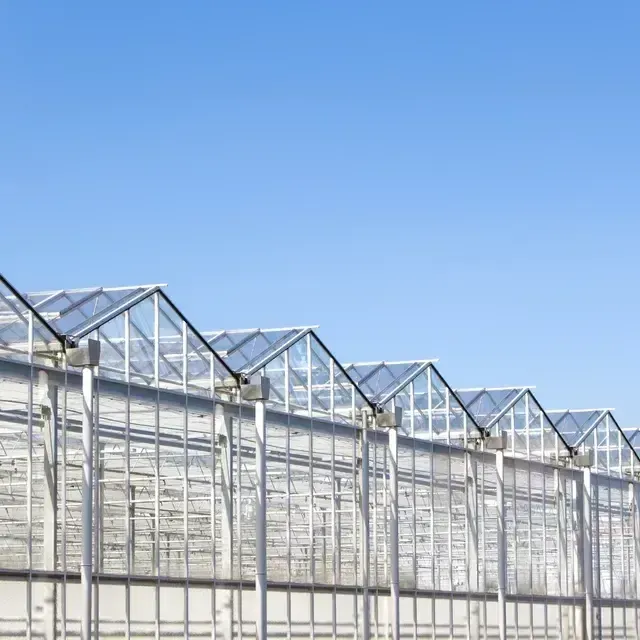 horticultural