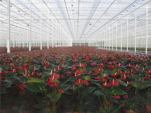 Greenhouse Technology