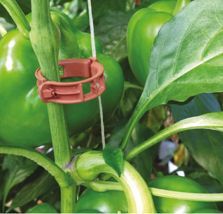 greenhouse tech 