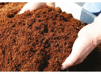 coco coir 