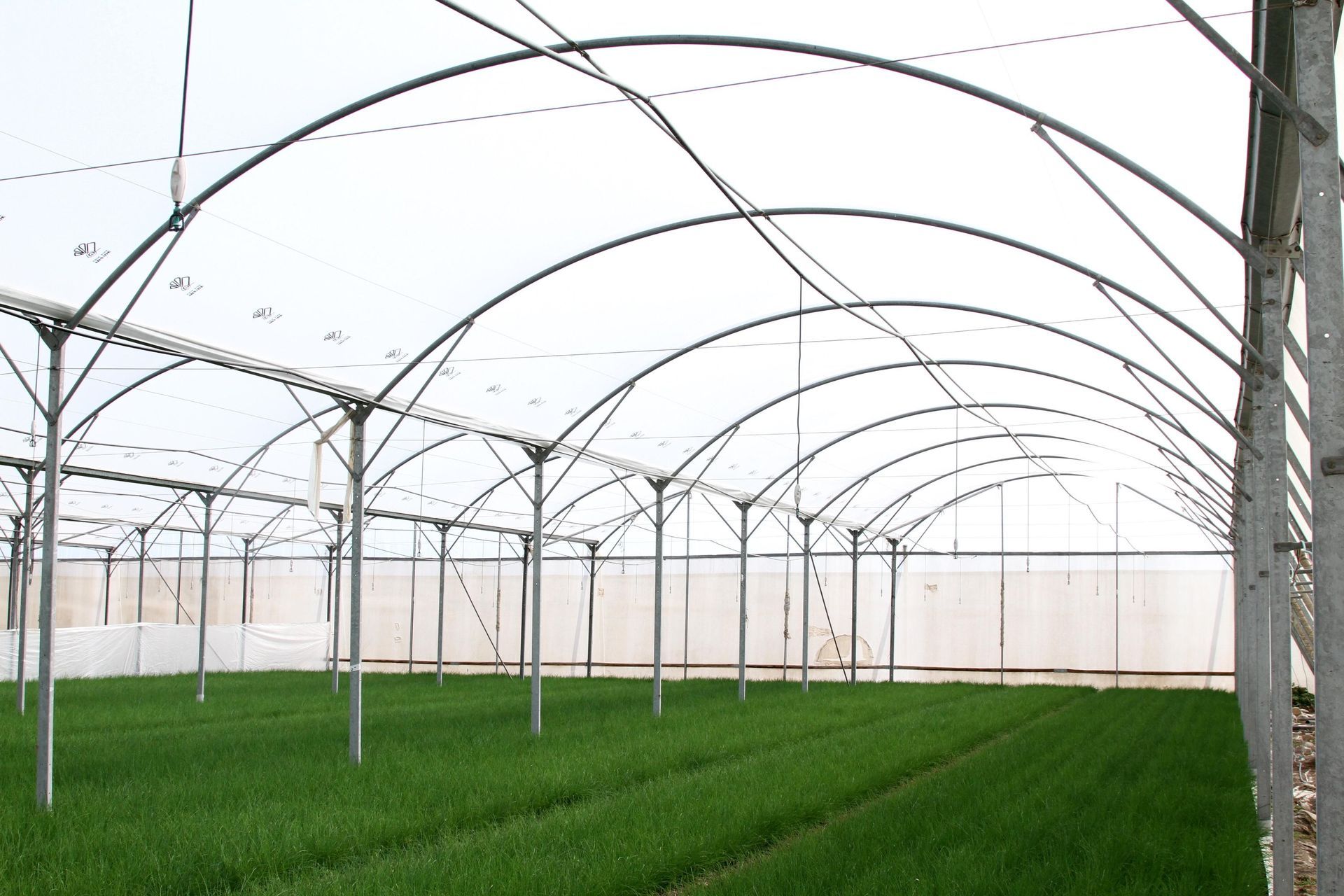 greenhouse