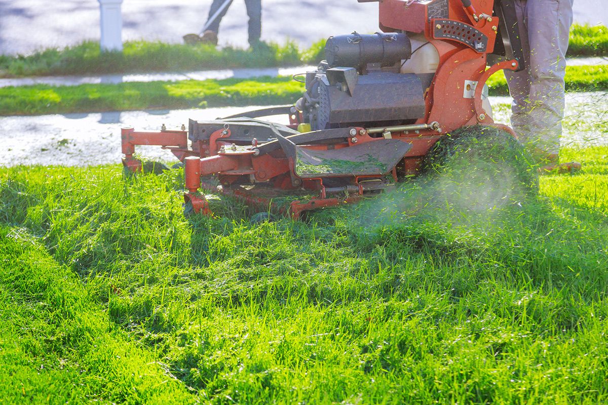 A lawnmower cuts thick, green grass, spraying clippings. A person's legs and feet are visible, operating the machine outside.