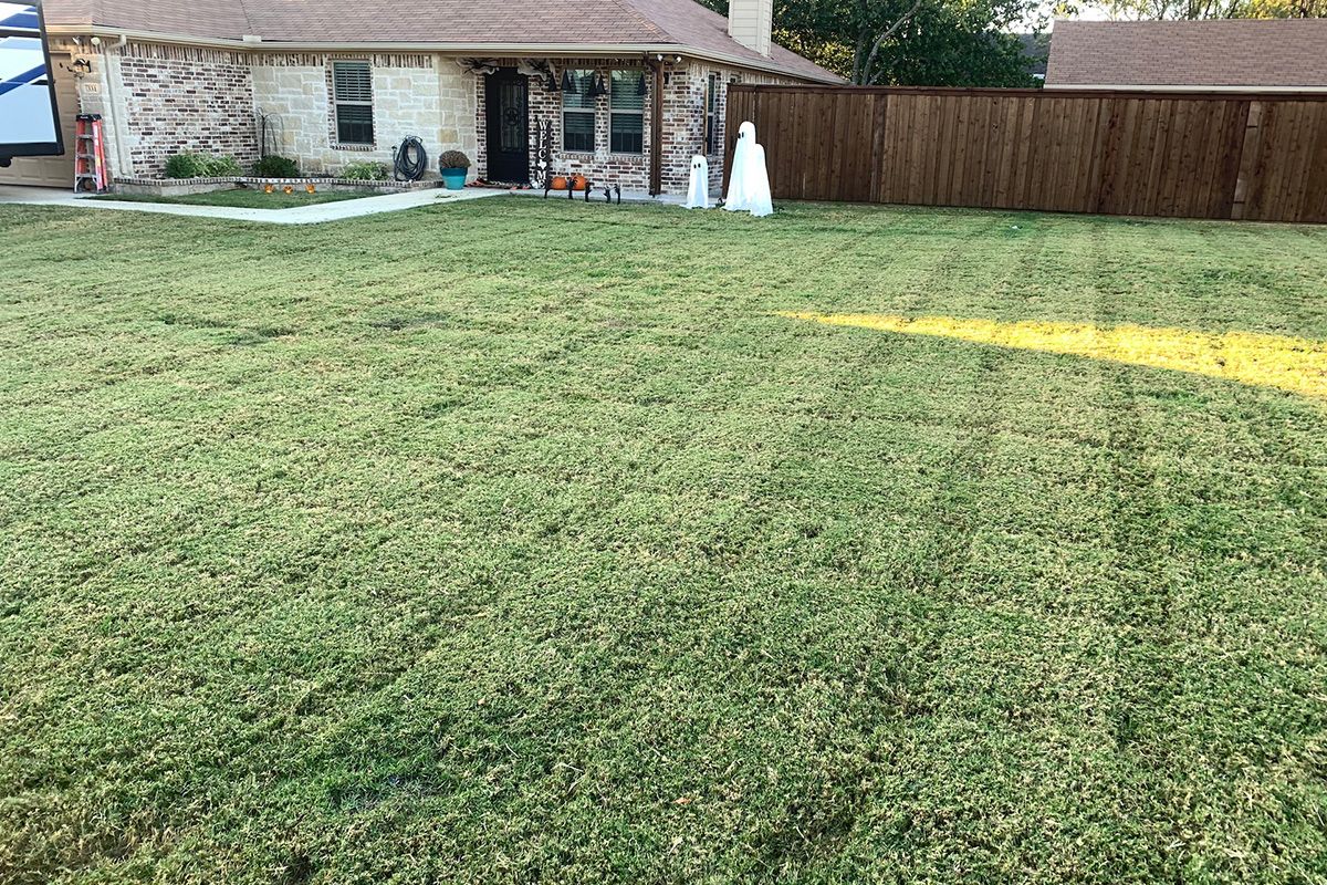 Lawn in front of a brick house, with a brown fence and a tree visible to the right.