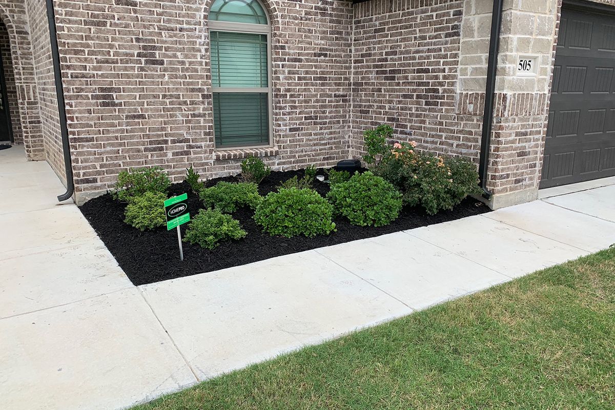 Flowerbed with green plants, black mulch, and a concrete sidewalk in front of a brick house.