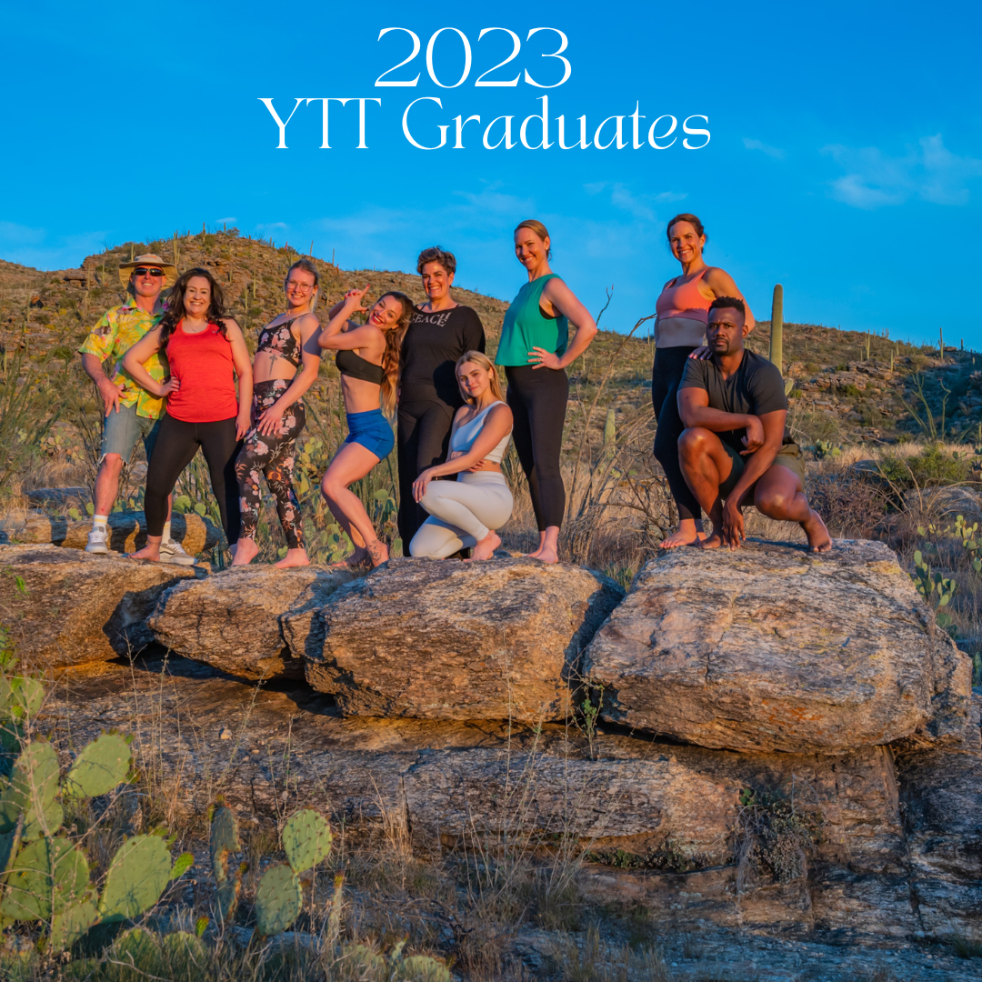 Group of yoga teacher training graduates posing on rocks in a desert landscape. Blue sky.