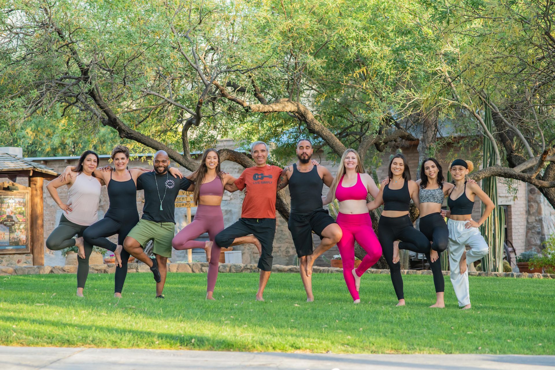 Group of people doing tree pose on grass, under a tree.