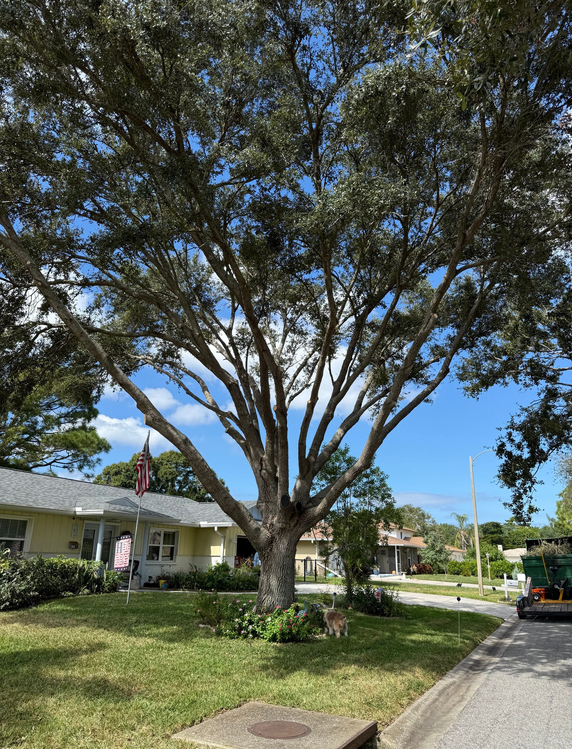Eric Putnam Board Certified Master Arborist In Seabrook Texas
