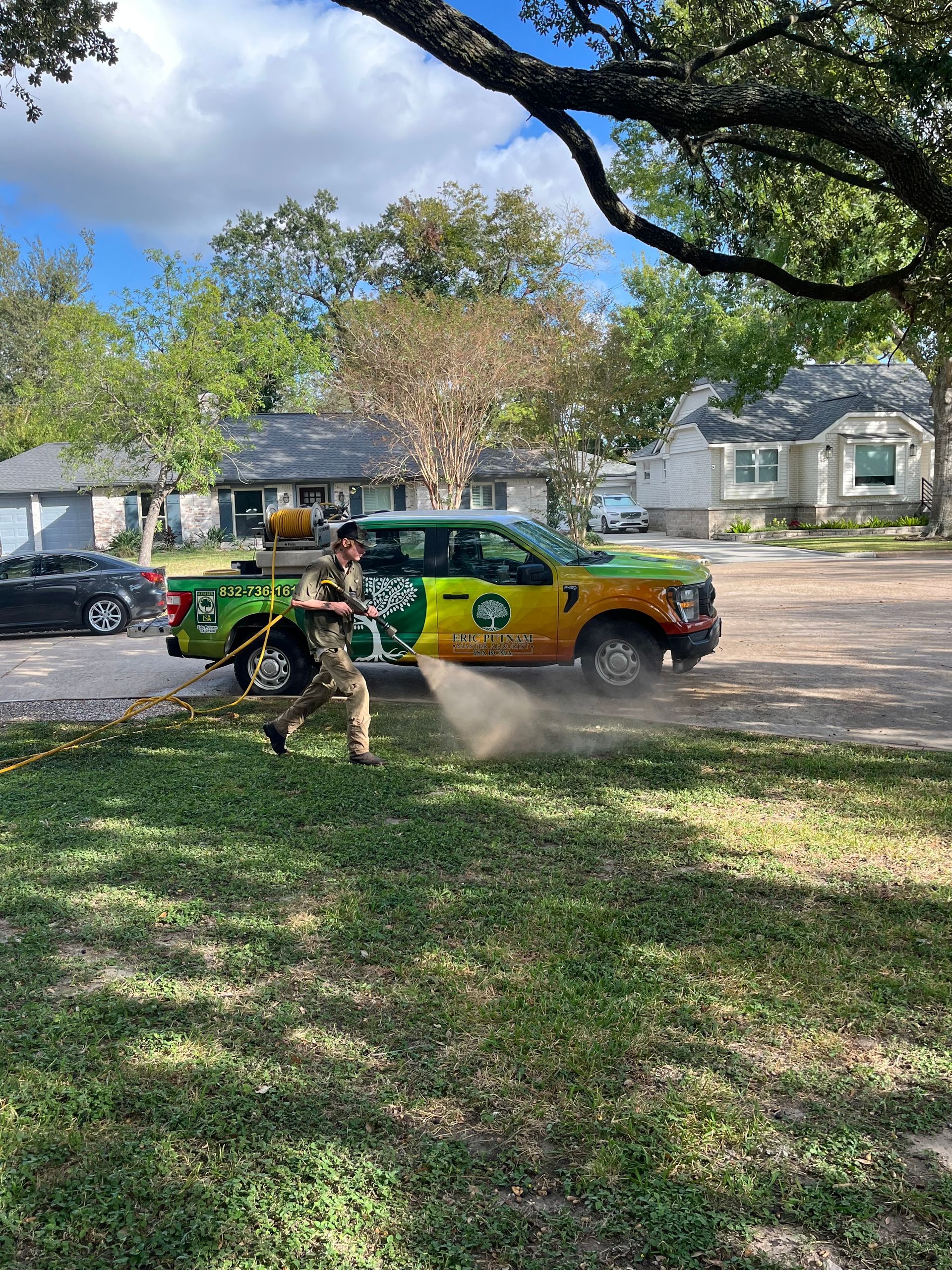 Tree Care Near Me