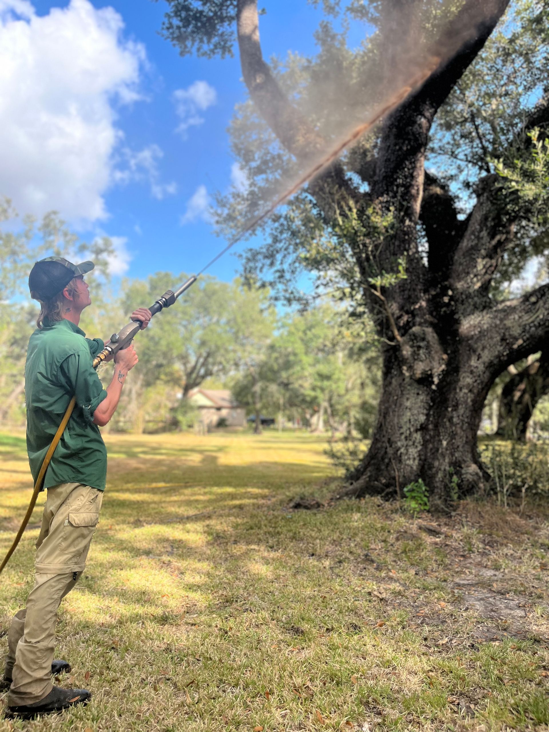 Tree Health Care Seabrook