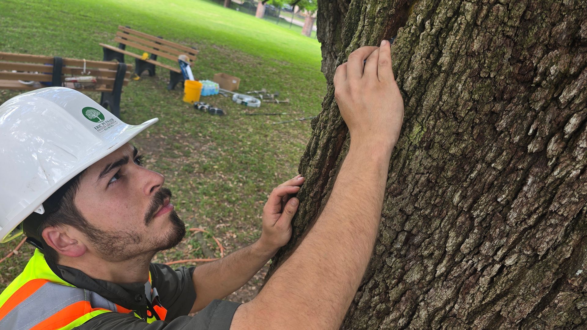 Arborist Consultation In Seabrook Texas