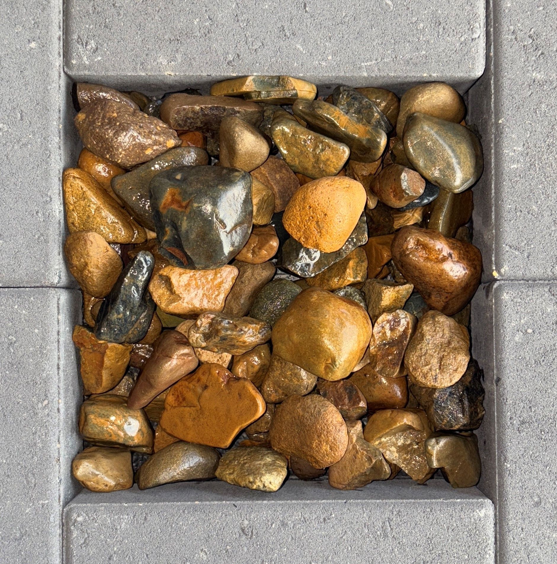Brisbane River Pebble