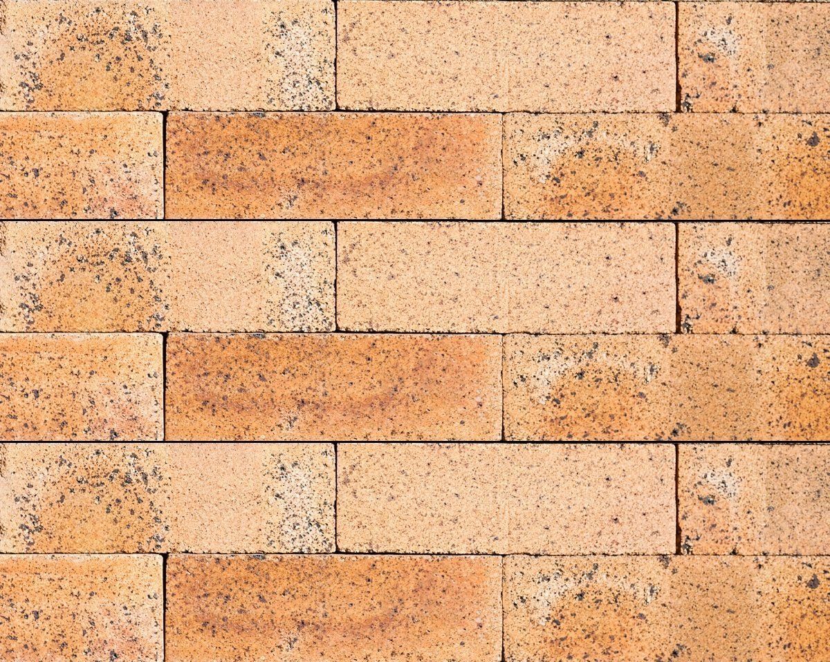 Brick Dry Press Gold Flash — Brisbane, QLD — Apollo Landscaping Supplies