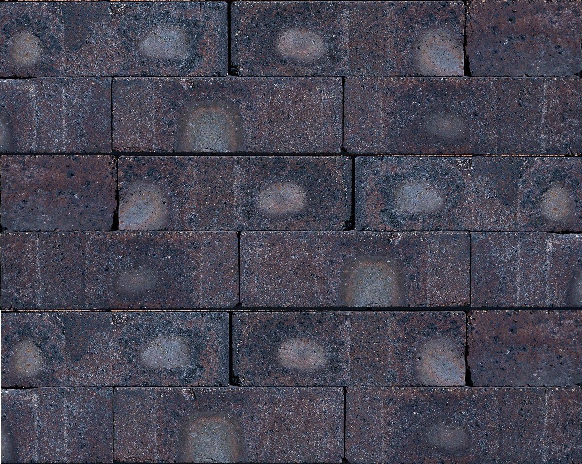 Brick Dry Press Mocha Flash — Brisbane, QLD — Apollo Landscaping Supplies