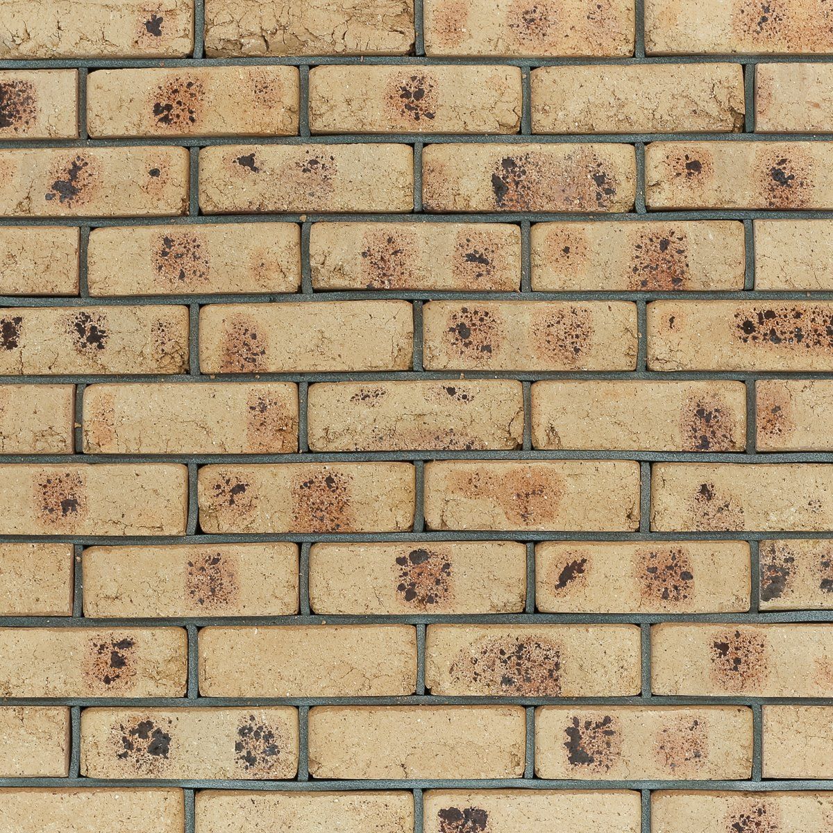 Brick Old Roman Sand Flash — Brisbane, QLD — Apollo Landscaping Supplies