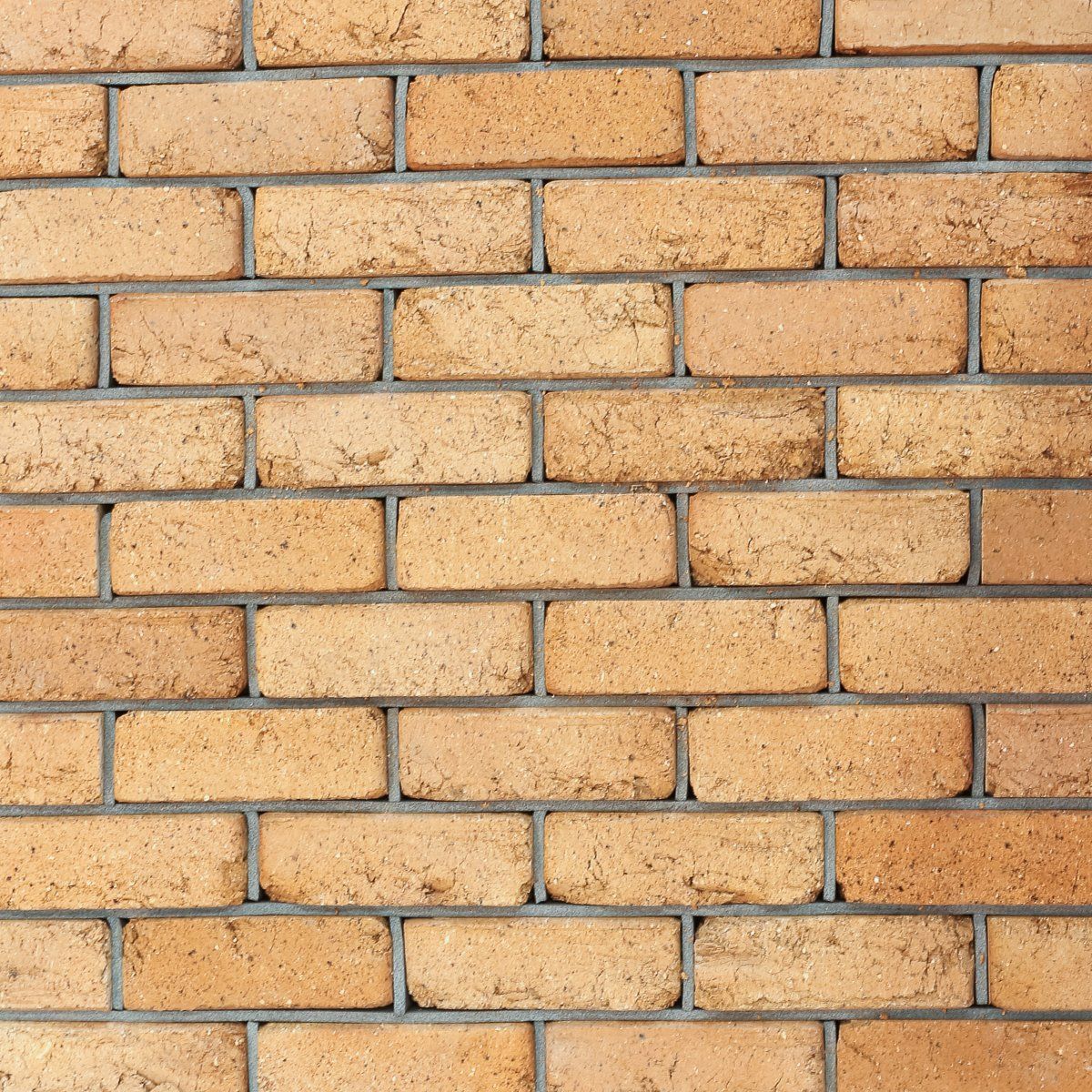 Brick Old Roman Gold — Brisbane, QLD — Apollo Landscaping Supplies