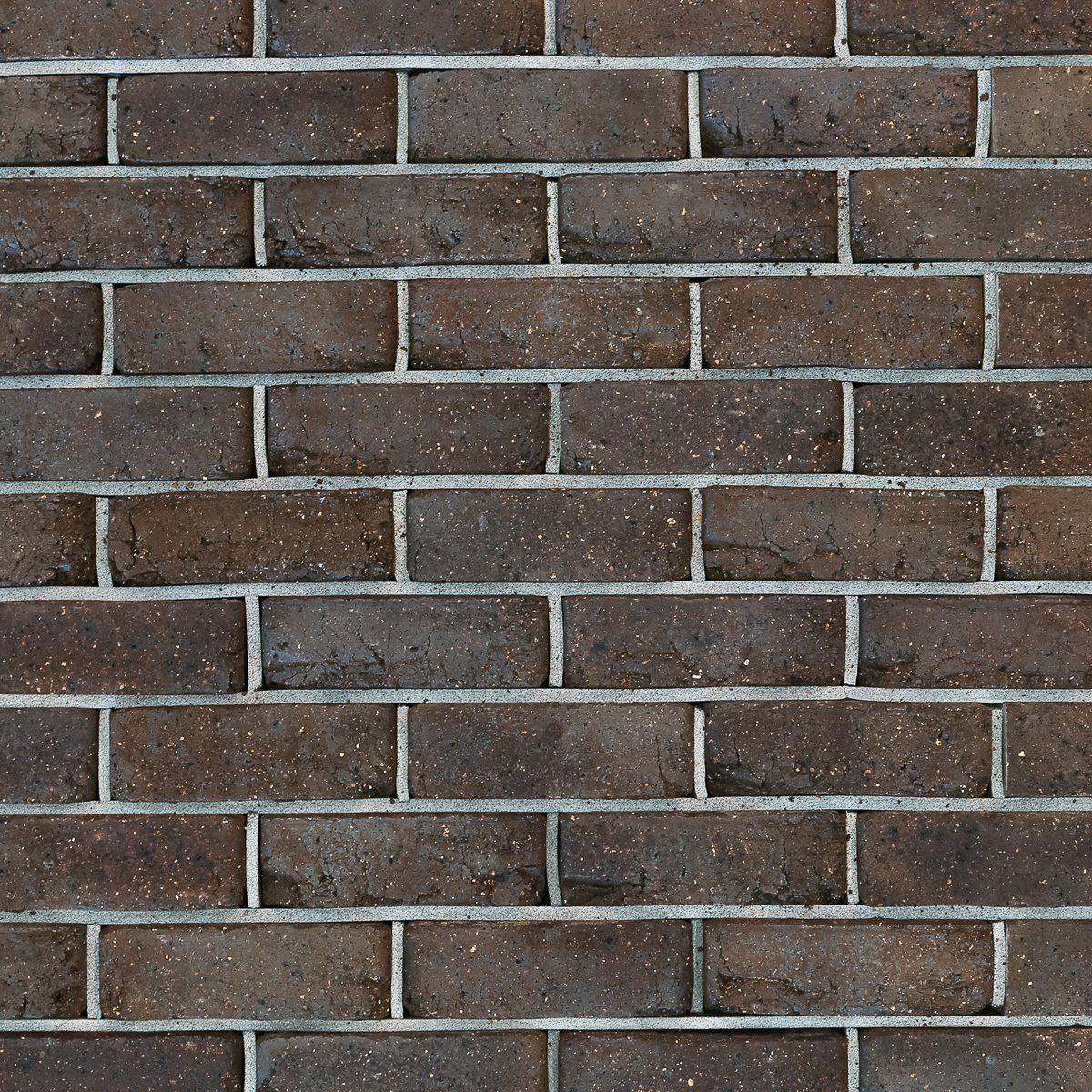 Brick Old Roman Mocha — Brisbane, QLD — Apollo Landscaping Supplies