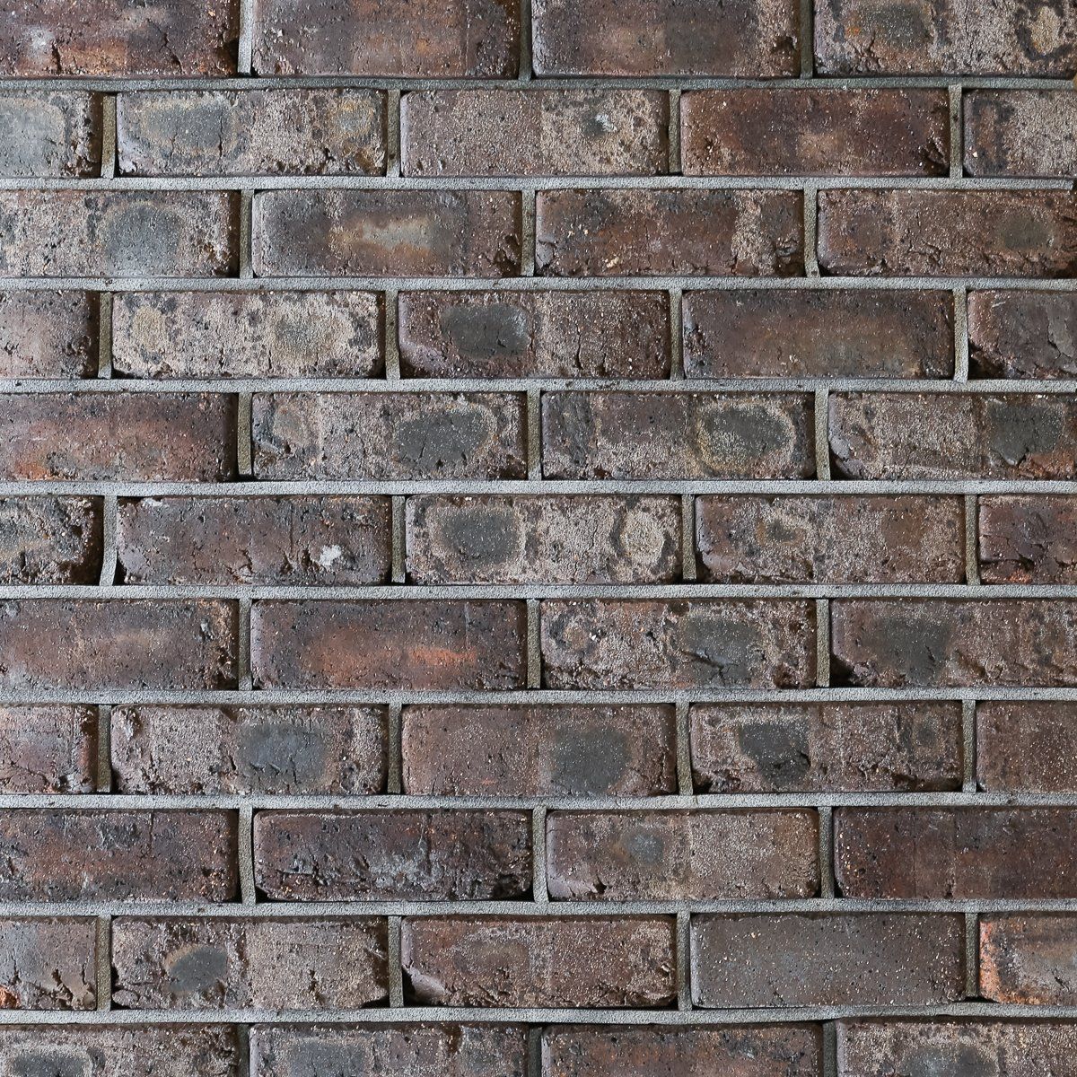 Brick Old Roman Mocha Flash — Brisbane, QLD — Apollo Landscaping Supplies
