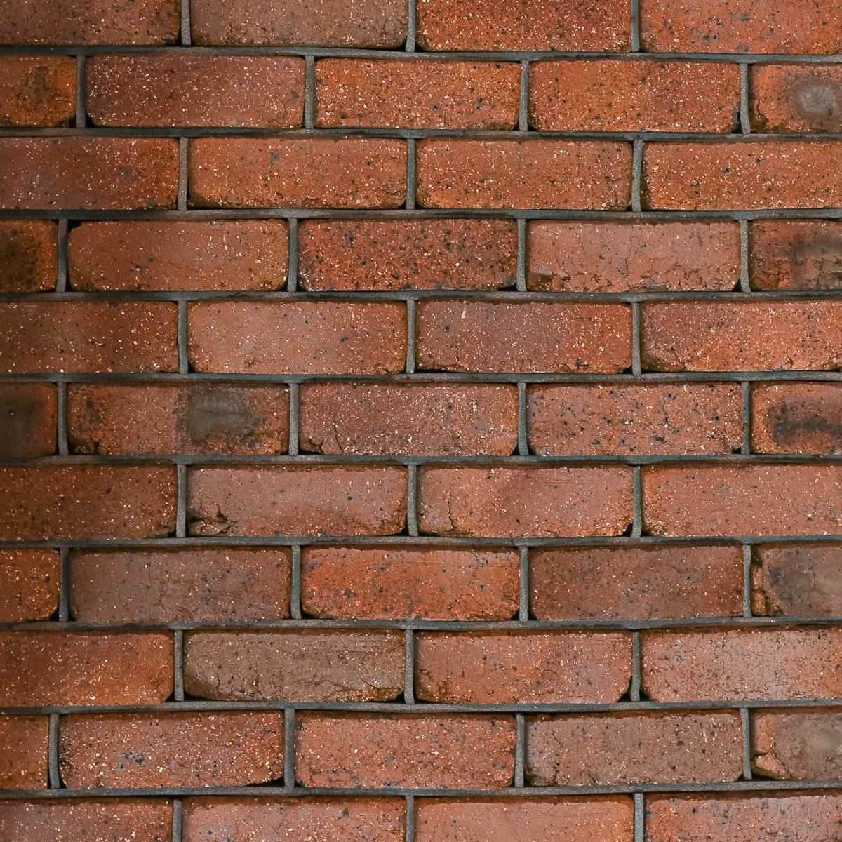 Brick Old Roman Tan — Brisbane, QLD — Apollo Landscaping Supplies