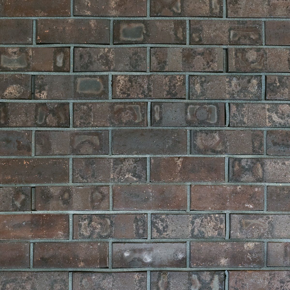 Brick Regal Mocha Flash — Brisbane, QLD — Apollo Landscaping Supplies