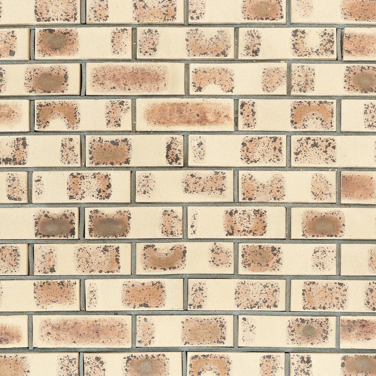 Brick Regal Sand Flash — Brisbane, QLD — Apollo Landscaping Supplies