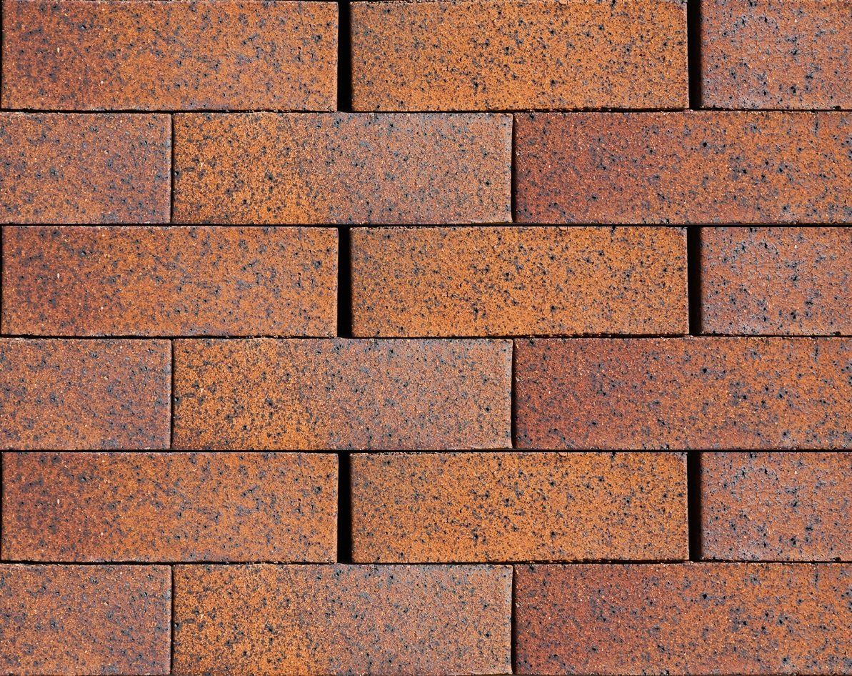 Brick Regal Tan — Brisbane, QLD — Apollo Landscaping Supplies