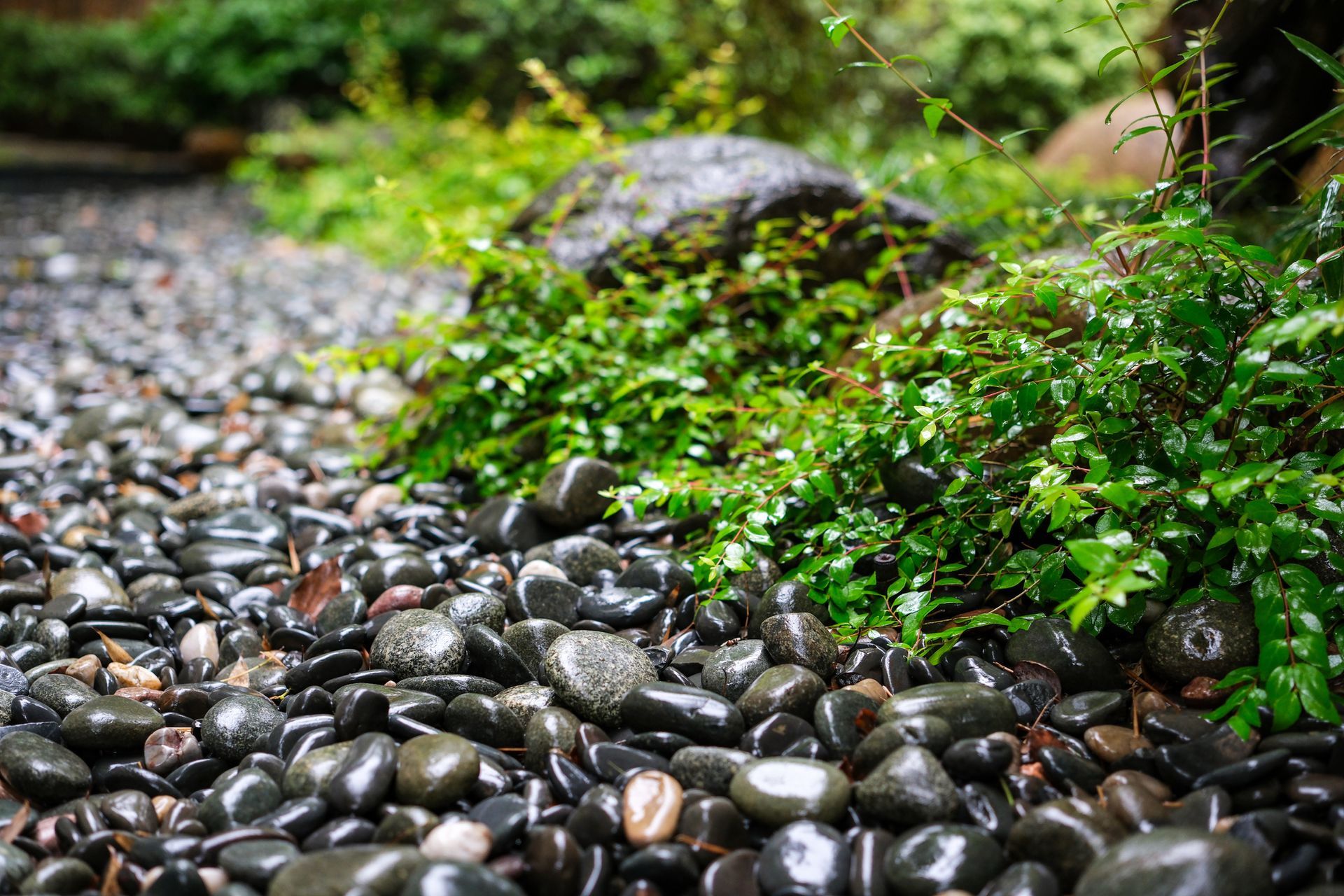 Decorative Pebble & Gravel
