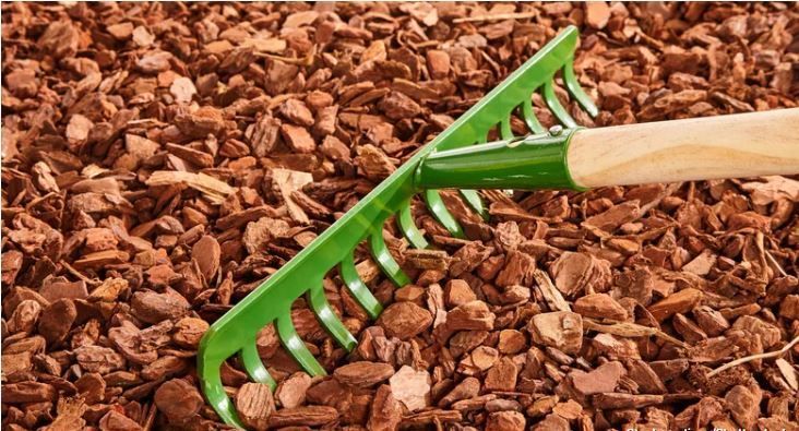 Bark, Mulch & Fertilizer
