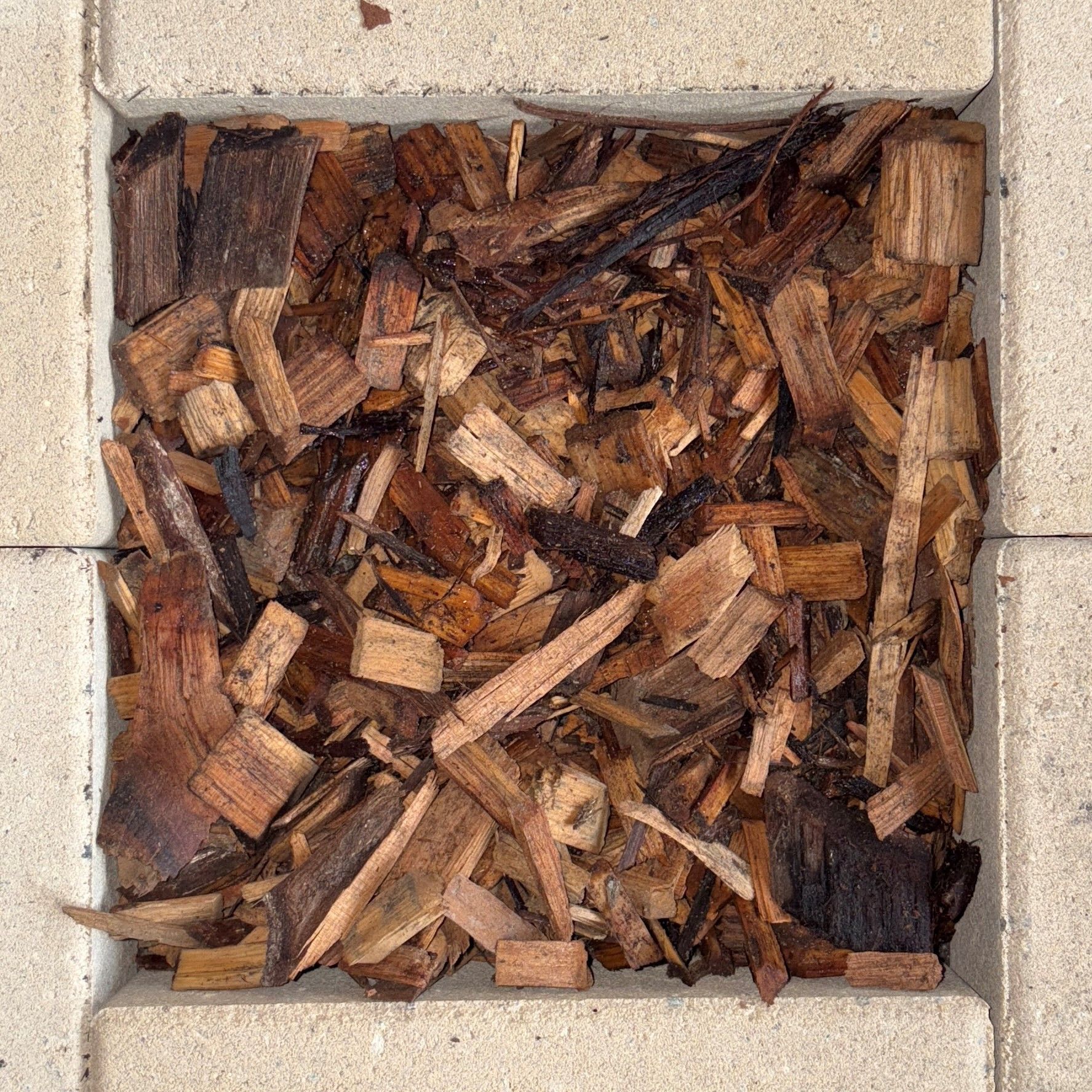 Cypress Chip Gold
