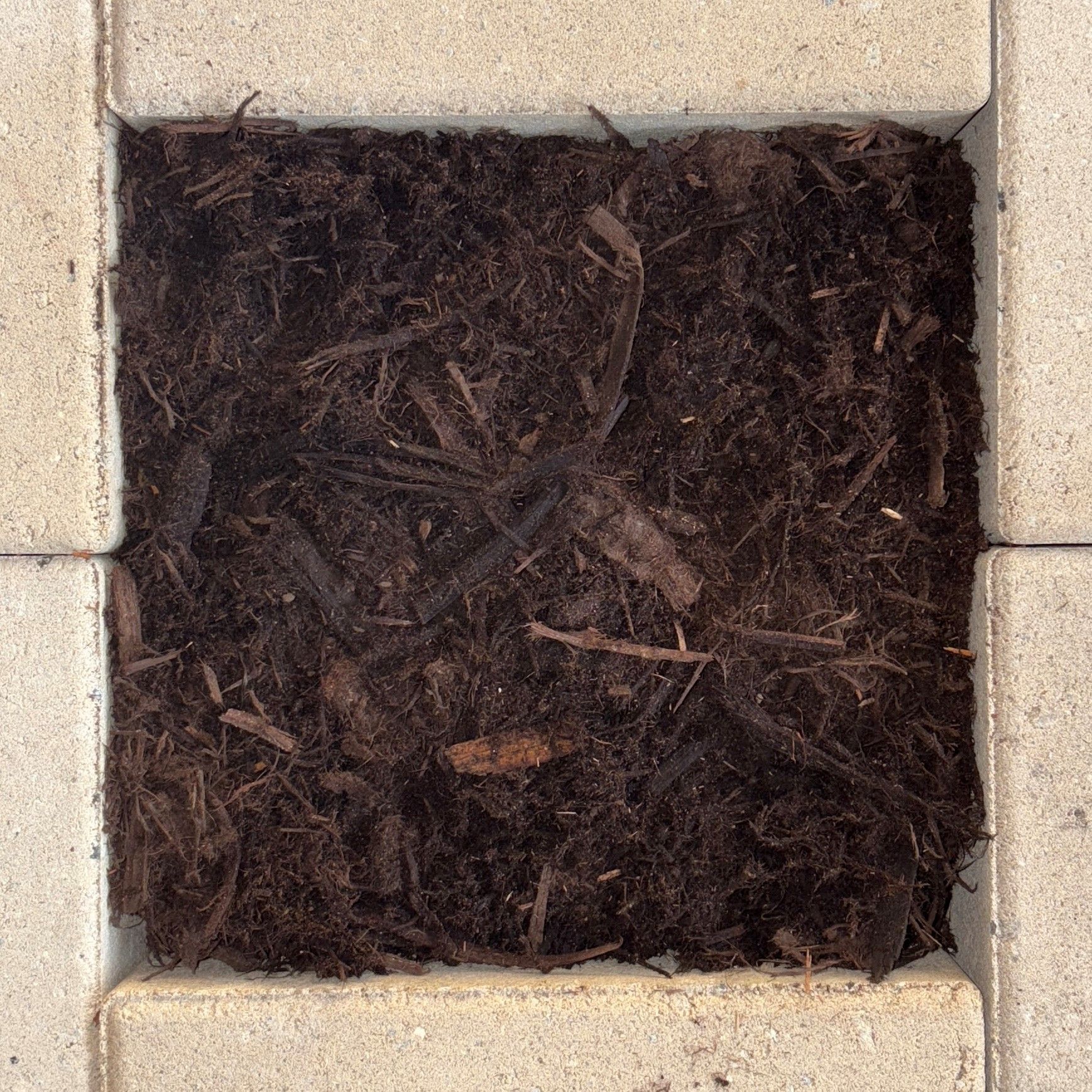Cypress Mulch Termite Resistant